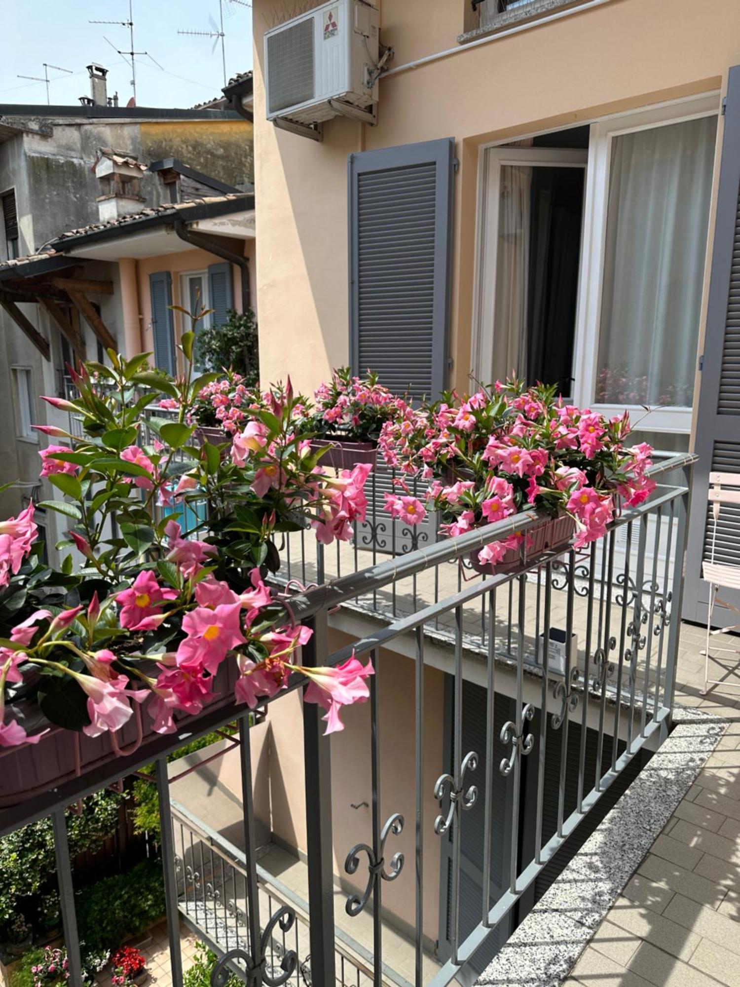 D-Place Apartment Piazza Duomo Crema Extérieur photo